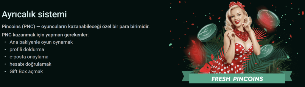 Pin-Up Casino tanıtımının önizlemesi #4
